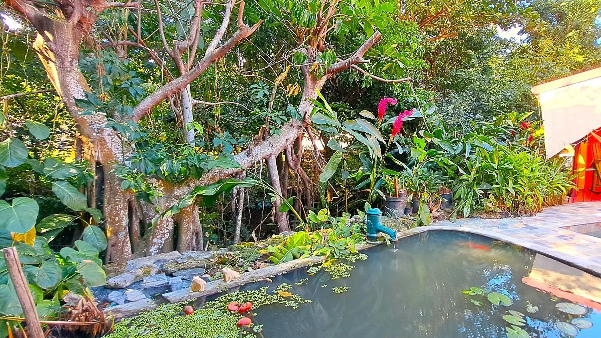 Villa La Perle Plage A Pied, Piscine A Deshaies Guadeloupe