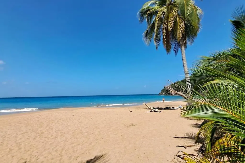 Villa La Perle Plage A Pied, Piscine A Deshaies 0*,