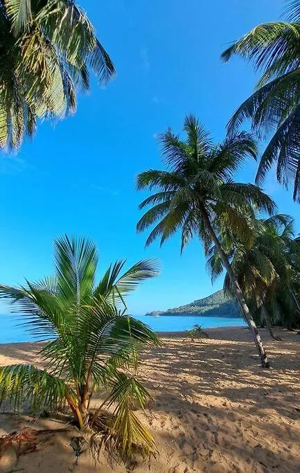 Villa La Perle Plage A Pied, Piscine A Deshaies